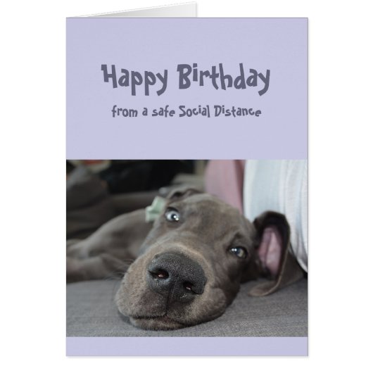 Funny Social Distancing Birthday Great Dane Dog (Vorne)