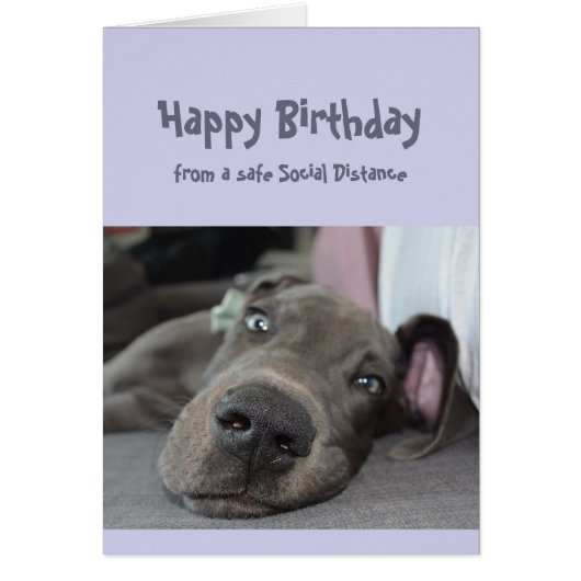 Funny Social Distancing Birthday Great Dane Dog (Vorne)