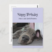 Funny Social Distancing Birthday Great Dane Dog Postkarte (Vorne/Hinten)
