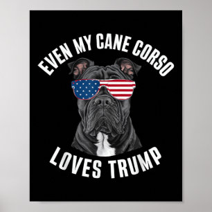 Funny sogar meine Cane Corso Lieben Trump politisc Poster