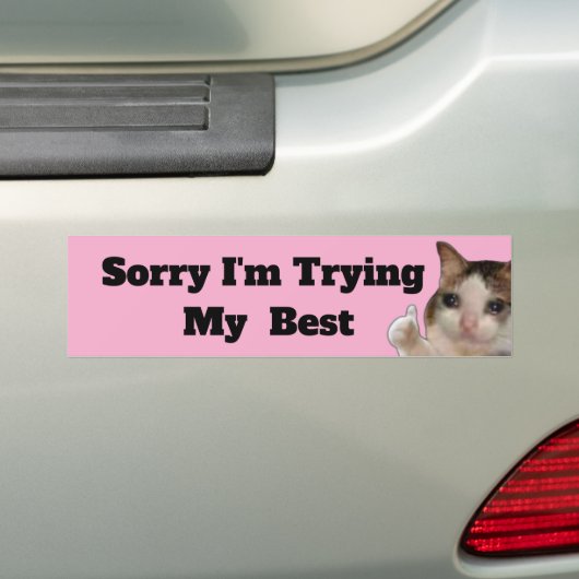 Funny "Sorry I'm Trying My Best" Bumper Sticker |  Autoaufkleber (Auf Auto)