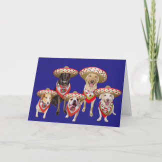 Funny Spanish Birthday von Group Feiertagskarte