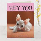 FUNNY SPHYNX CAT BIG BIRTHDAY GREETING CARD KARTE (Gelbe Blume)