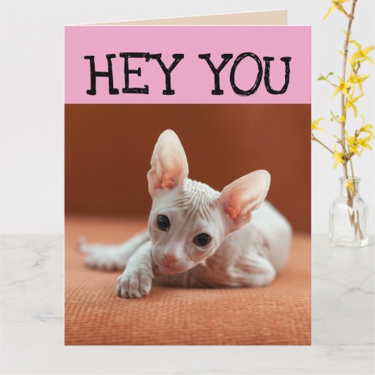 FUNNY SPHYNX CAT BIG BIRTHDAY GREETING CARD KARTE (Gelbe Blume)