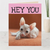 FUNNY SPHYNX CAT BIG BIRTHDAY GREETING CARD KARTE (Vorderseite)