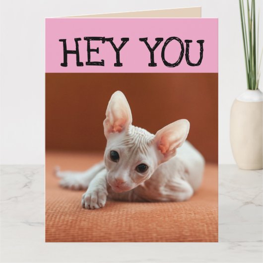 FUNNY SPHYNX CAT BIG BIRTHDAY GREETING CARD KARTE (Vorderseite)