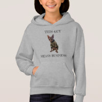 Funny Sphynx Cat