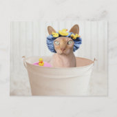 Funny Sphynx Katze in einer Badewanne Postkarte (Vorderseite)