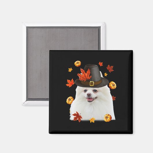 Funny Spitz Hund Pilgrim Hat Fall glücklich Danke Magnet (Vorderseite/Rückseite)
