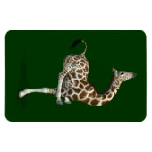 Funny Sporty Giraffe Magnet (Horizontal)
