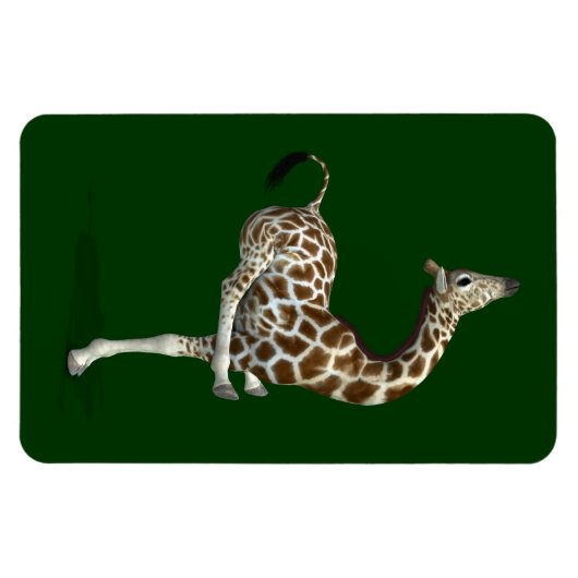 Funny Sporty Giraffe Magnet (Horizontal)
