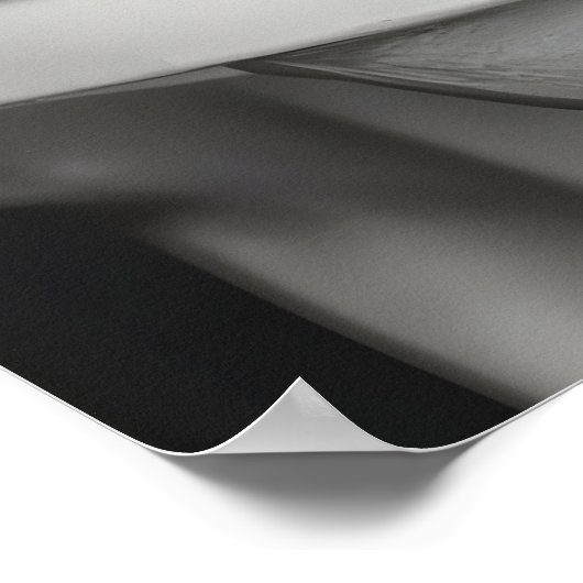 Funny Squirrel Bathroom Print, Reading Newspaper Poster (Ecke)