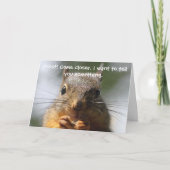 Funny Squirrel Birthday Card Karte (Vorderseite)