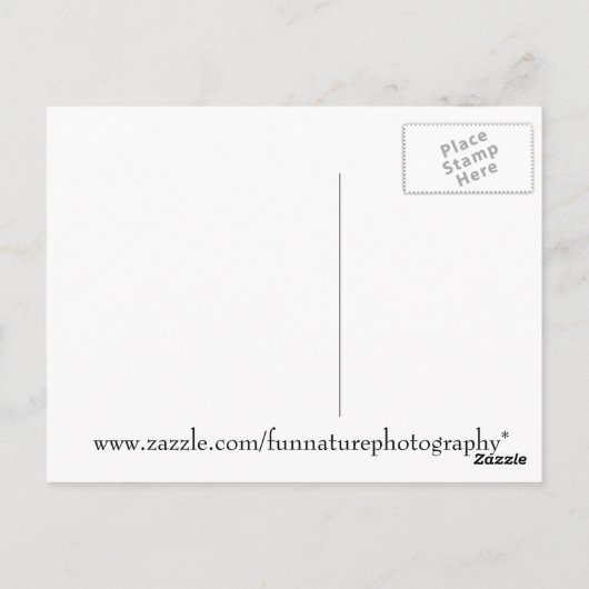 Funny Squirrel Birthday Postcard Postkarte (Rückseite)