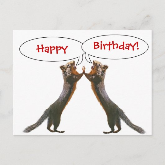 Funny Squirrel Birthday Postcard Postkarte (Vorderseite)