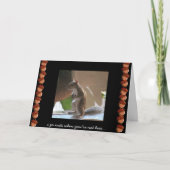 Funny Squirrel Card, Miss You, Go Nuts Karte (Vorderseite)