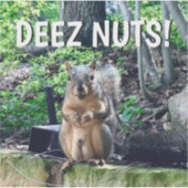 Funny Squirrel Deez Nuts Adult Humor Laptop Aufkleber (Vorderseite)