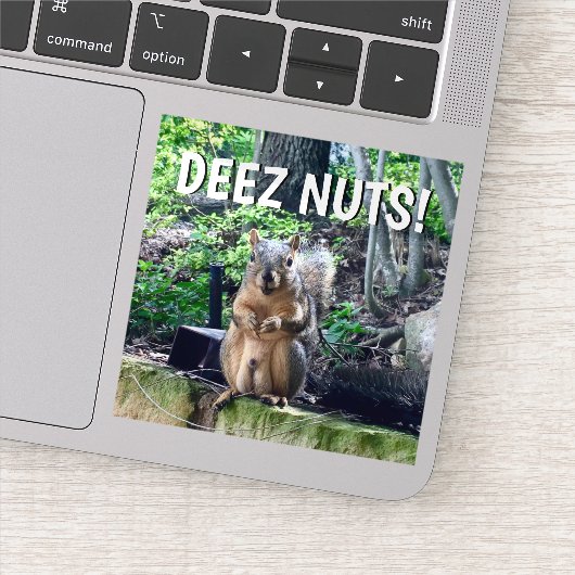 Funny Squirrel Deez Nuts Adult Humor Laptop Aufkleber (Detail)