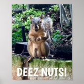 Funny Squirrel Deez Nuts Unangemessener Spaß Poster (Vorne)