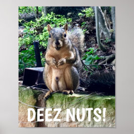 Funny Squirrel Deez Nuts Unangemessener Spaß Poster