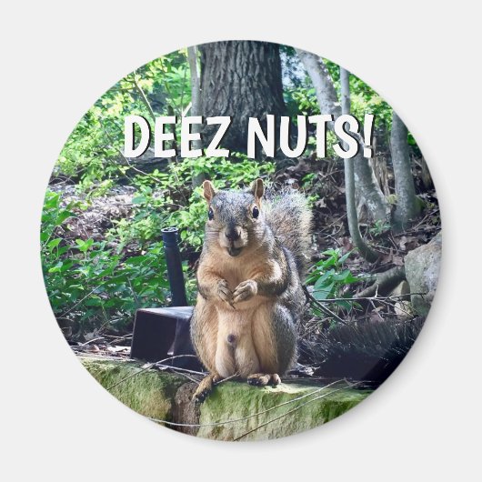 Funny Squirrel Deez Nuts Unangemessenes Spaß Foto Magnet (Vorne)
