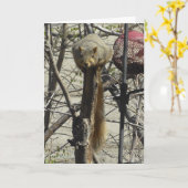 Funny Squirrel Friendship Karte (Gelbe Blume)