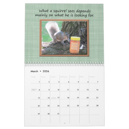Funny Squirrel Gerade Schlicht Nutz Calendar Kalender (Mär 2026)