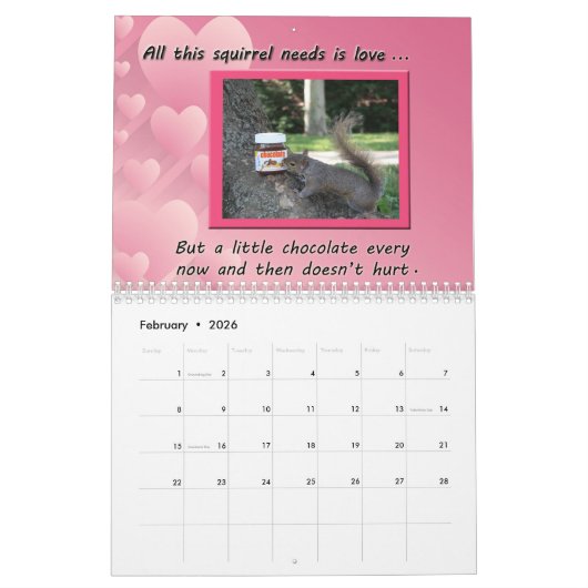 Funny Squirrel Gerade Schlicht Nutz Calendar Kalender (Feb 2026)
