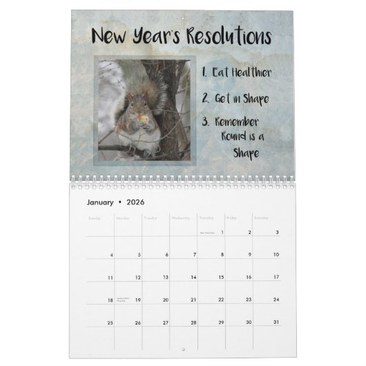 Funny Squirrel Gerade Schlicht Nutz Calendar Kalender (Jan 2026)