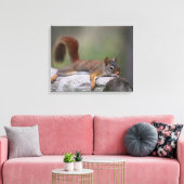 Funny Squirrel Leinwanddruck (Insitu (Wohnzimmer))