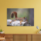 Funny Squirrel Leinwanddruck (Insitu (Wohnzimmer))