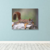 Funny Squirrel Leinwanddruck (Insitu (Holzboden))