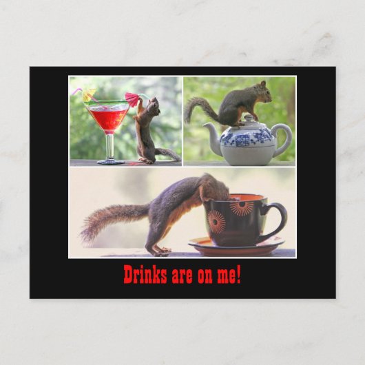 Funny Squirrel Postcard Postkarte (Vorderseite)