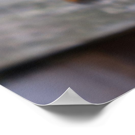 Funny Squirrel Poster (Ecke)