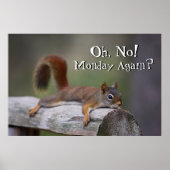 Funny Squirrel Poster (Vorne)