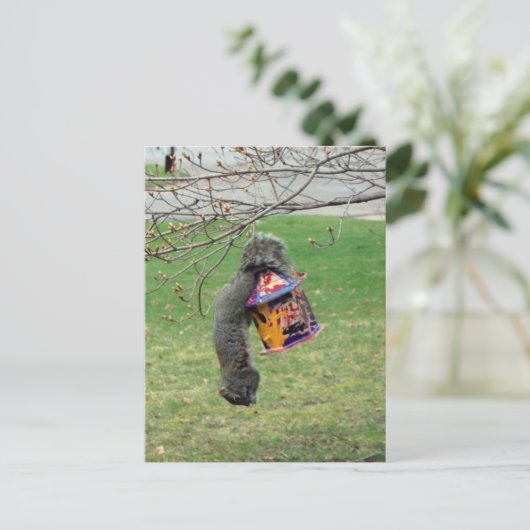 Funny Squirrel Postkarte (Stehend Vorderseite)
