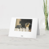 Funny Squirrel Spaß Freundschaftskarte Karte (Rückseite)