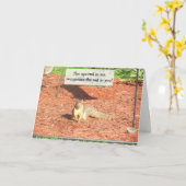 Funny Squirrel Spaß Freundschaftskarte Karte (Gelbe Blume)