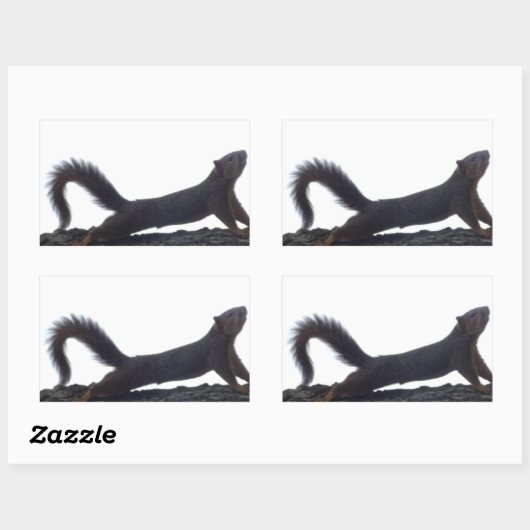 Funny Squirrel Stickers (Blatt)