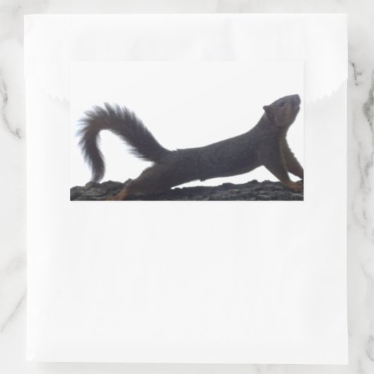 Funny Squirrel Stickers (Tasche)