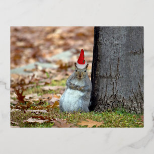 Funny Squirrel Weihnachtspostkarte Folien Feiertagspostkarte