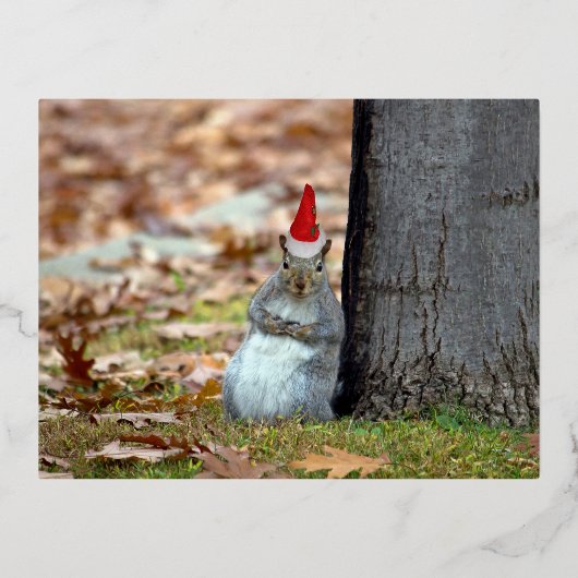 Funny Squirrel Weihnachtspostkarte Folien Feiertagspostkarte (Vorderseite)