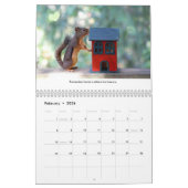 Funny Squirrels Wall Calendar Kalender (Feb 2026)
