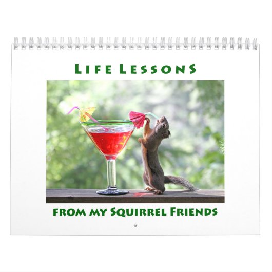 Funny Squirrels Wall Calendar Kalender (Titelbild)