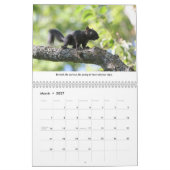 Funny Squirrels Wall Calendar Kalender (Mär 2027)