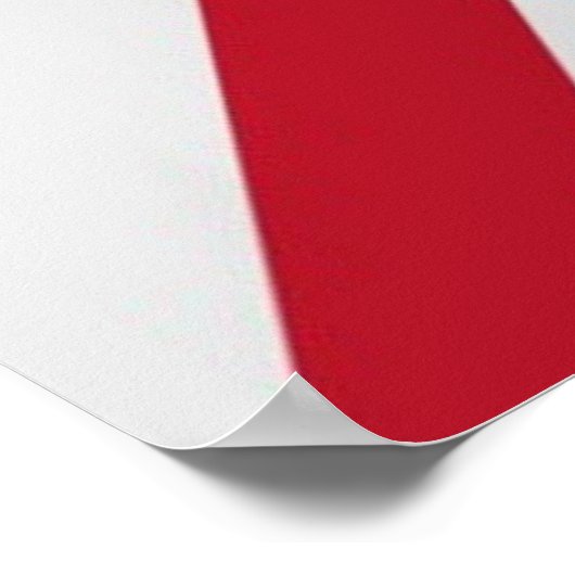 Funny St. Patrick Flag Britisches irisches Kleebla Poster (Ecke)