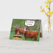 Funny Steer und Cake zum Geburtstag Karte (Gelbe Blume)