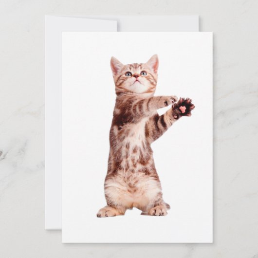 Funny stehend spielend einladung (Rückseite)