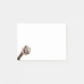 Funny Sticky Notes with Happy Playful Ostrich Post-it Klebezettel (Vorderseite)