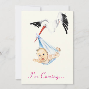 Funny Stork Baby Shower Einladung - ich komme